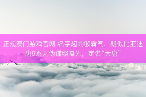 正规澳门游戏官网 名字起的够霸气，疑似比亚迪唐9系无伪谍照曝光，定名“大唐”