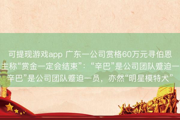 可提现游戏app 广东一公司赏格60万元寻伯恩山犬，公司认真东说念主称“赏金一定会结束”：“辛巴”是公司团队蹙迫一员，亦然“明星模特犬”
