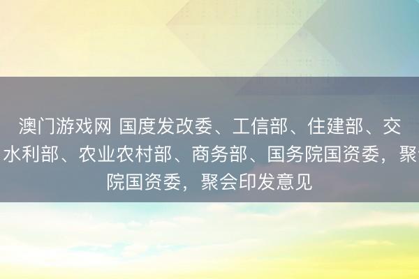 澳门游戏网 国度发改委、工信部、住建部、交通输送部、水利部、农业农村部、商务部、国务院国资委，聚会印发意见