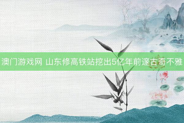 澳门游戏网 山东修高铁站挖出5亿年前邃古奇不雅