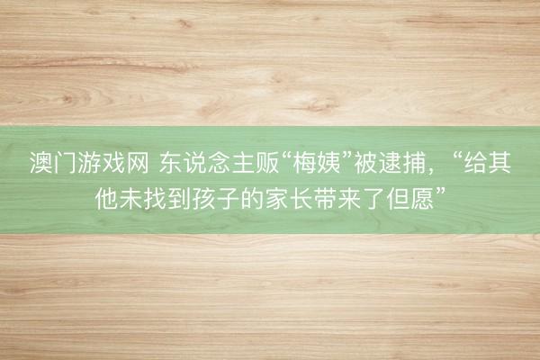 澳门游戏网 东说念主贩“梅姨”被逮捕,“给其他未找到孩子的家长带来了但愿”