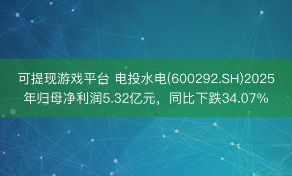 可提现游戏平台 电投水电(600292.SH)2025年归母净利润5.32亿元,同比下跌34.07%