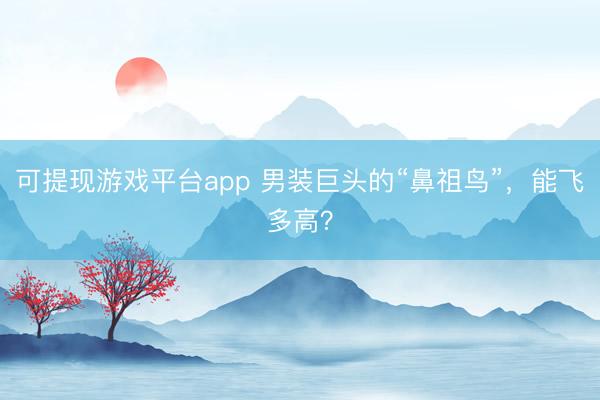 可提现游戏平台app 男装巨头的“鼻祖鸟”,能飞多高?