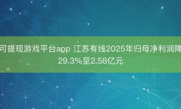 可提现游戏平台app 江苏有线2025年归母净利润降29.3%至2.58亿元
