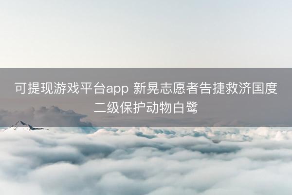 可提现游戏平台app 新晃志愿者告捷救济国度二级保护动物白鹭