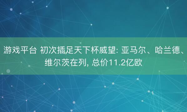 游戏平台 初次插足天下杯威望: 亚马尔、哈兰德、维尔茨在列, 总价11.2亿欧