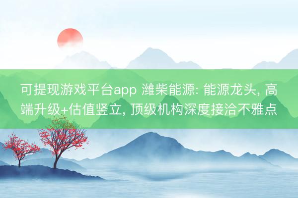 可提现游戏平台app 潍柴能源: 能源龙头， 高端升级+估值竖立， 顶级机构深度接洽不雅点