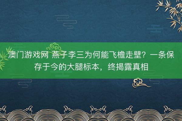 澳门游戏网 燕子李三为何能飞檐走壁？一条保存于今的大腿标本，终揭露真相